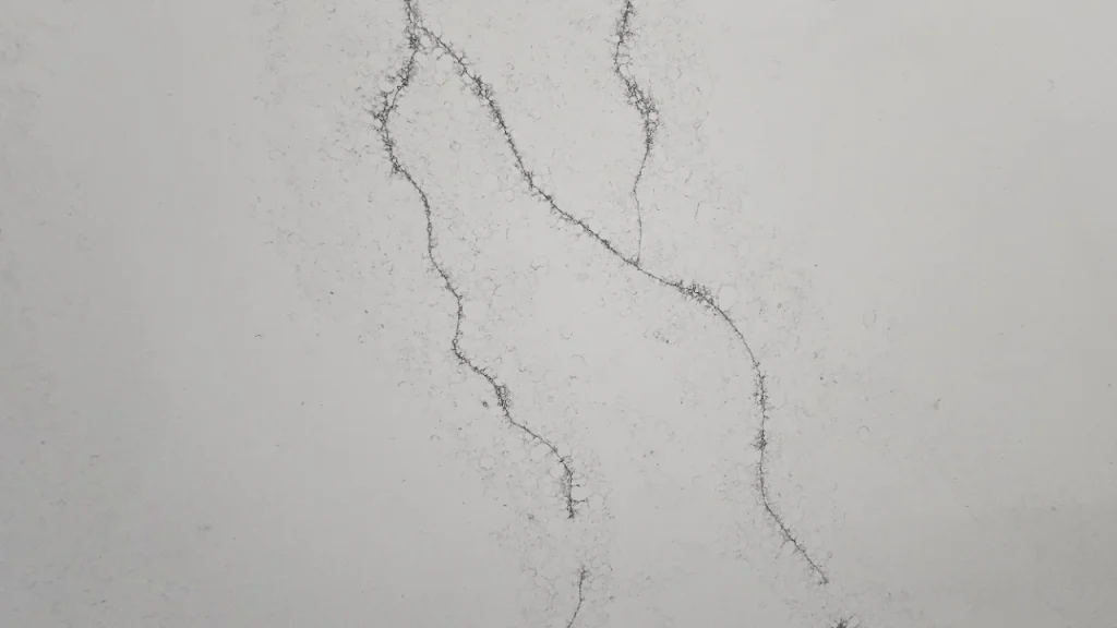 Calcatta Lux Quartz