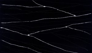 Daltile ONE Quartz Black Canyon full slab