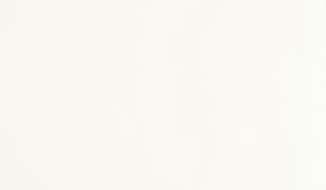 Daltile ONE Quartz Morning Frost full slab
