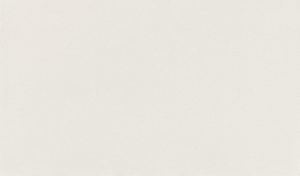 Daltile ONE Quartz White Ice full slab