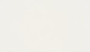 Daltile ONE Quartz White Sand full slab